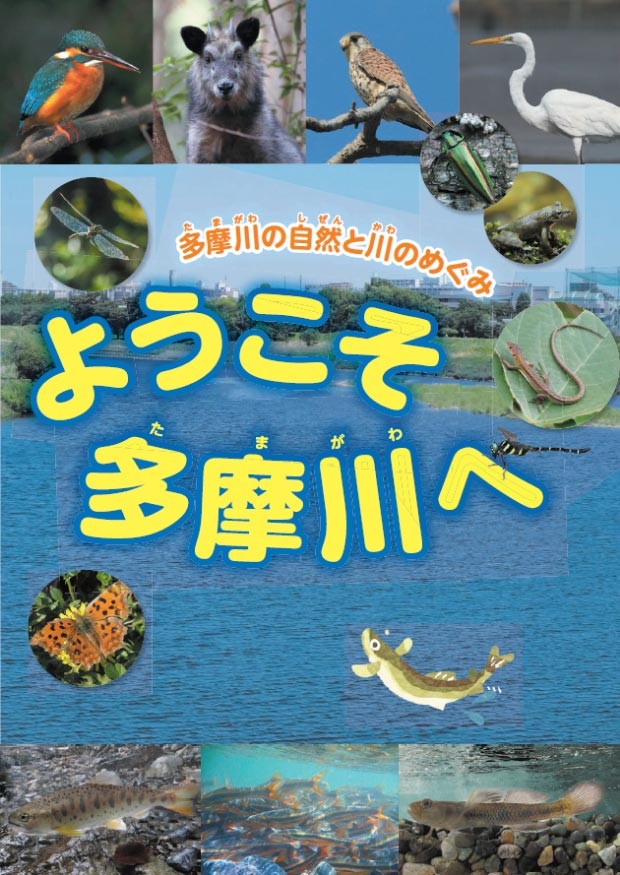 art_00087_本文_04