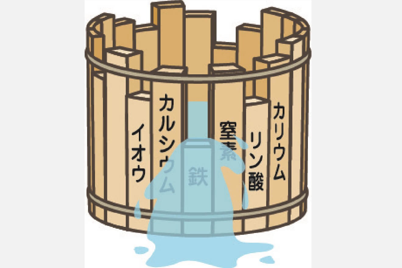 【コラム】「リービッヒの最小律とSDGs」「基礎から学ぶ SDGs教室」【6】