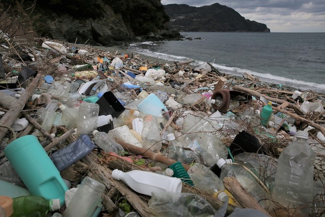コラム「プラスチックごみの行方は」「基礎から学ぶ SDGs教室」【22】/ 日能研