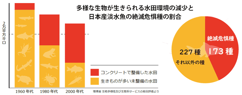 art_00314_本文_03