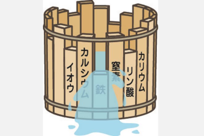 【コラム】「リービッヒの最小律とSDGs」「基礎から学ぶ SDGs教室」【6】