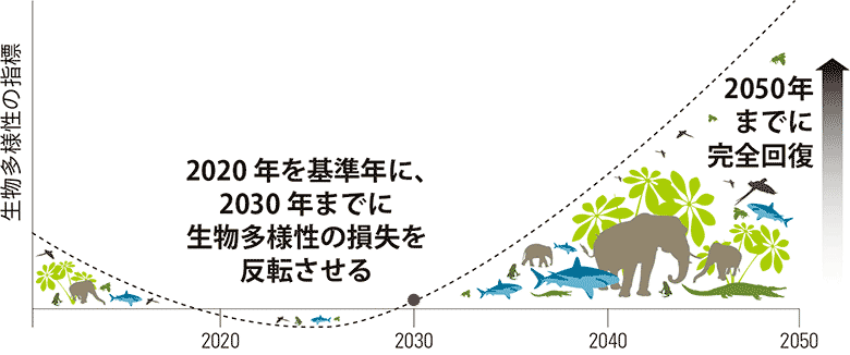 Living Planet Reportが示す生物多様性の今 Wwfと考える～sdgsの実践～【11】：朝日新聞sdgs Action