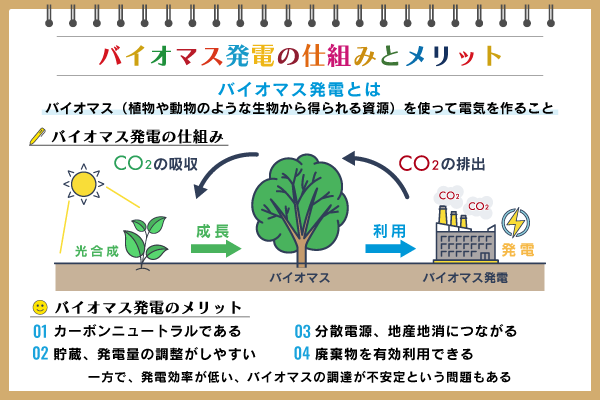バイオマス発電とは？ 仕組みやメリット、課題、将来性を解説：朝日