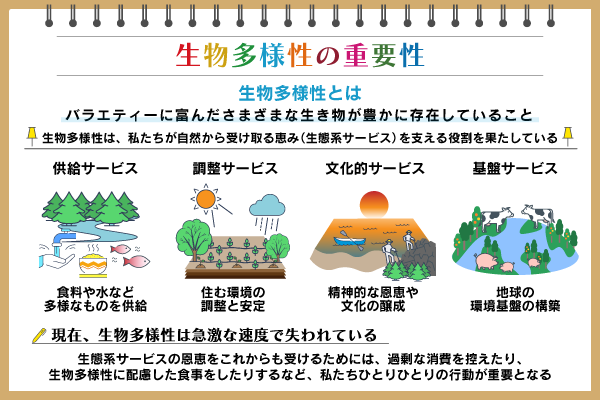 生物多様性とは？　重要性や訪れている危機、保全に必要なことを紹介