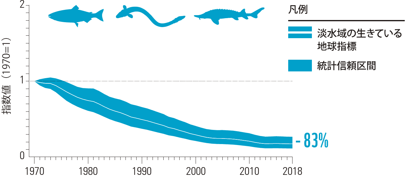 Living Planet Reportが示す生物多様性の今 Wwfと考える～sdgsの実践～【11】：朝日新聞sdgs Action