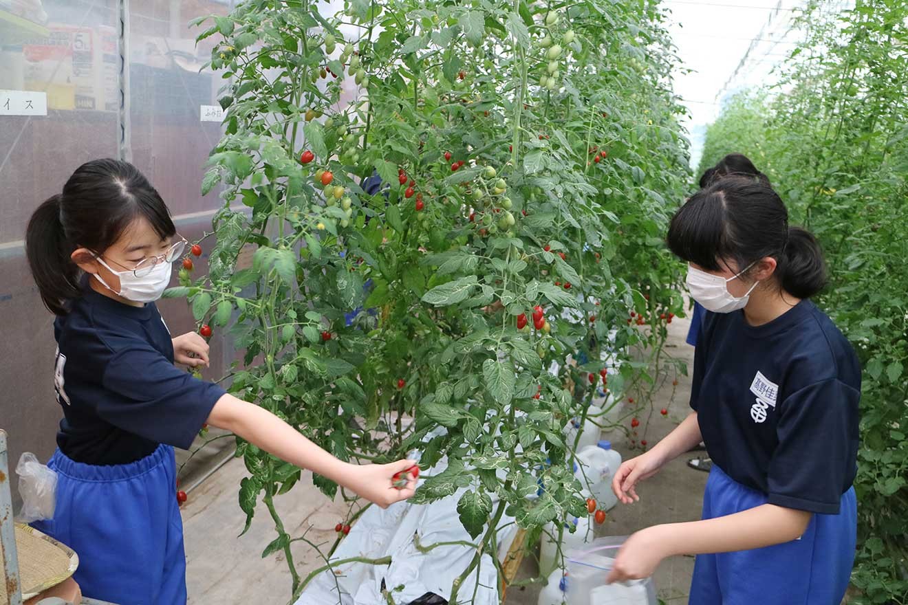 教育の部】未来を担う中学生たちと 福島の農産物に新たな価値を生む
