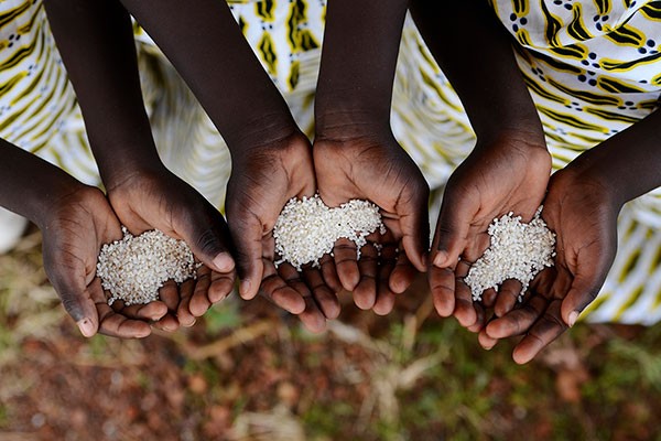 2019年以降、新たに1億2200万人が飢餓に　SDGs目標2は「困難な挑戦」　FAOなど