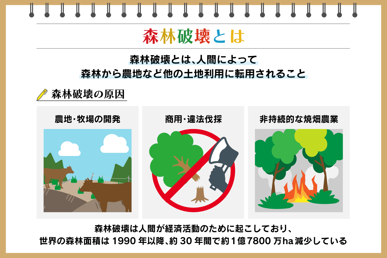 森林破壊とは？地球環境への影響と私たちにできる具体的な行動を解説：朝日新聞SDGs ACTION!